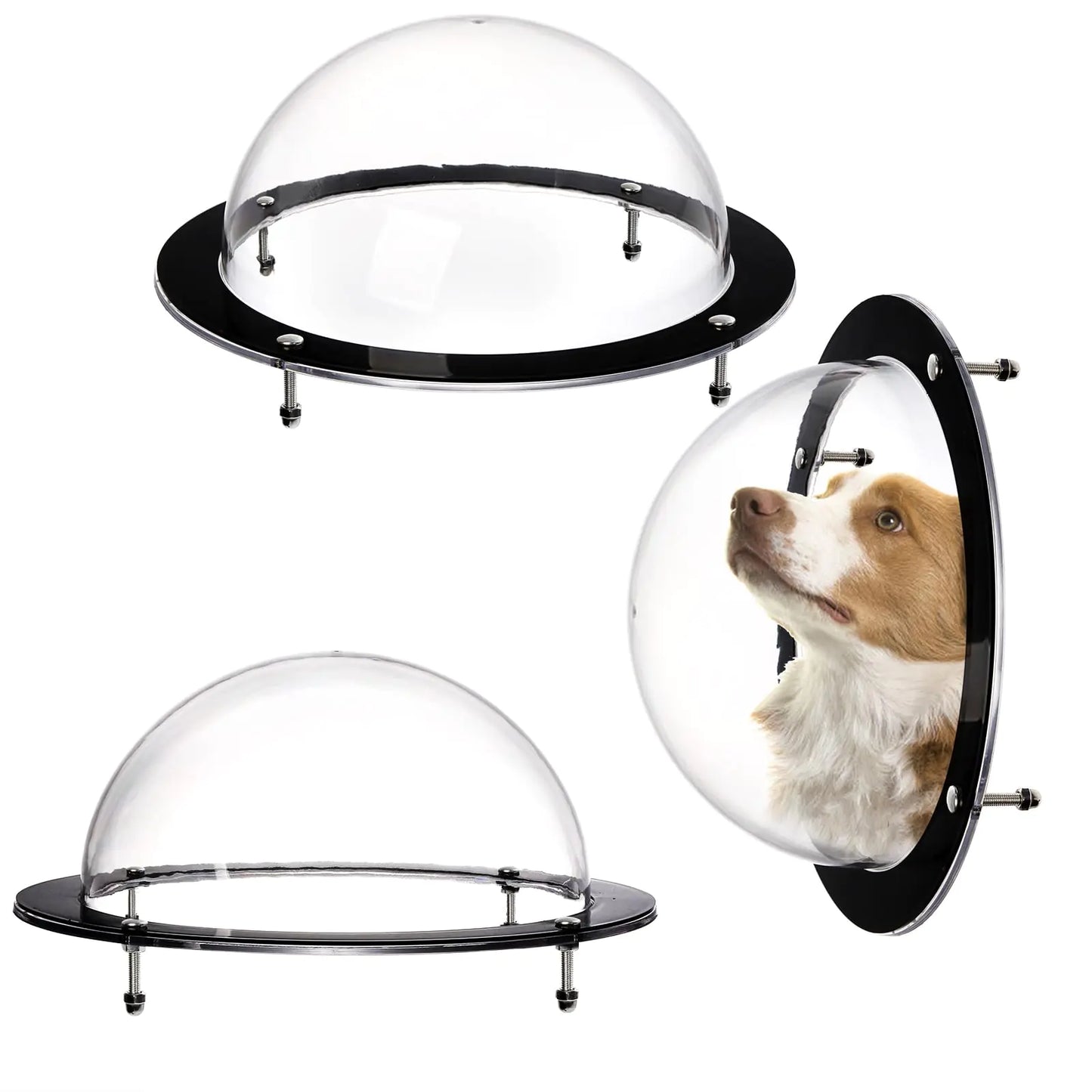 Clear dome pet bed with black frame on a white background