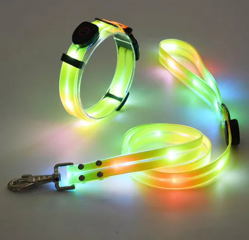 Glow Guard Collar