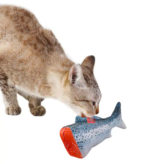 Feline Fun Fish Toy - Shopinapets  Feline Fun Fish Toy Shopinapets #