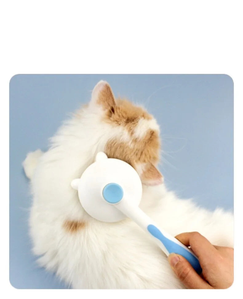 A person gently brushes a fluffy white and orange cat with a handheld grooming tool against a light blue background.
