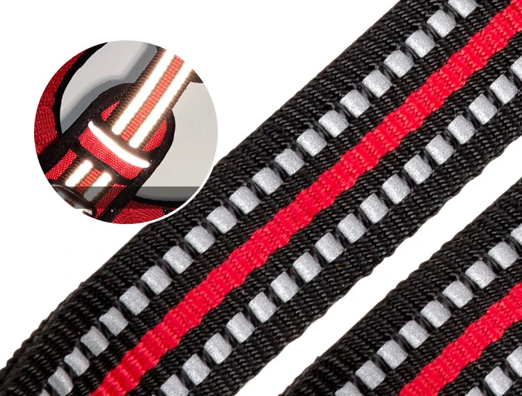 Close-up of a zipper with red and white teeth on a black background