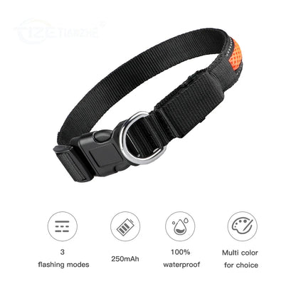 Stylish LED Dog Collar Luminous