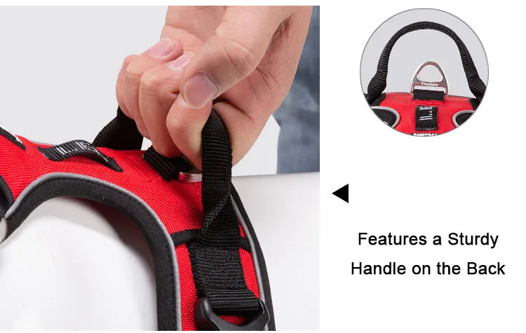 Red and black dog harness with a sturdy handle on the back, held by a hand.