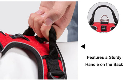 Red and black dog harness with a sturdy handle on the back, held by a hand.