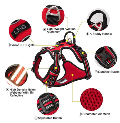 Red dog harness with features highlighted on a white background