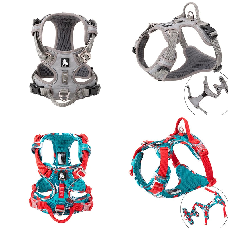 Collage of climbing harnesses in gray, teal, and red on a white background