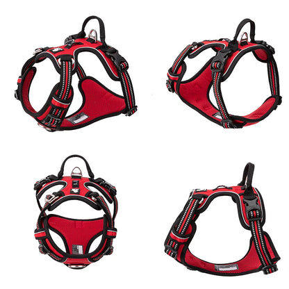 Red dog harnesses with black straps on a white background
