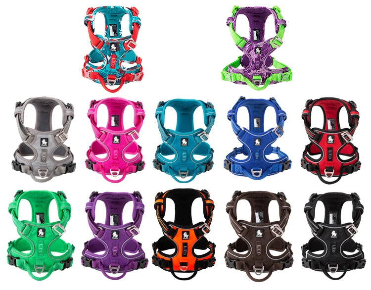 Collection of colorful dog harnesses in various designs on a white background