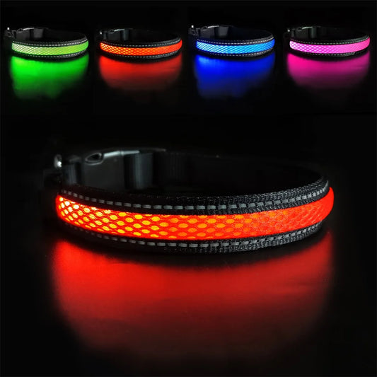 Stylish LED Dog Collar Luminous