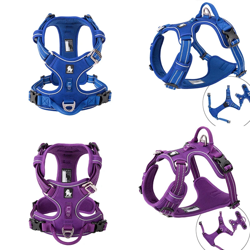 Blue and purple dog harnesses with detailed views on a white background