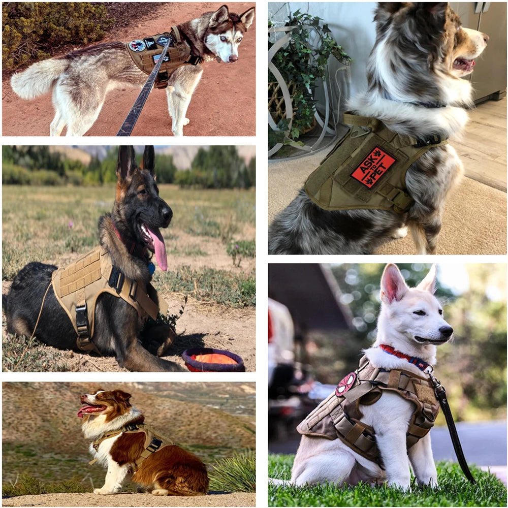 Collage of dogs wearing tactical vests in various outdoor settings.