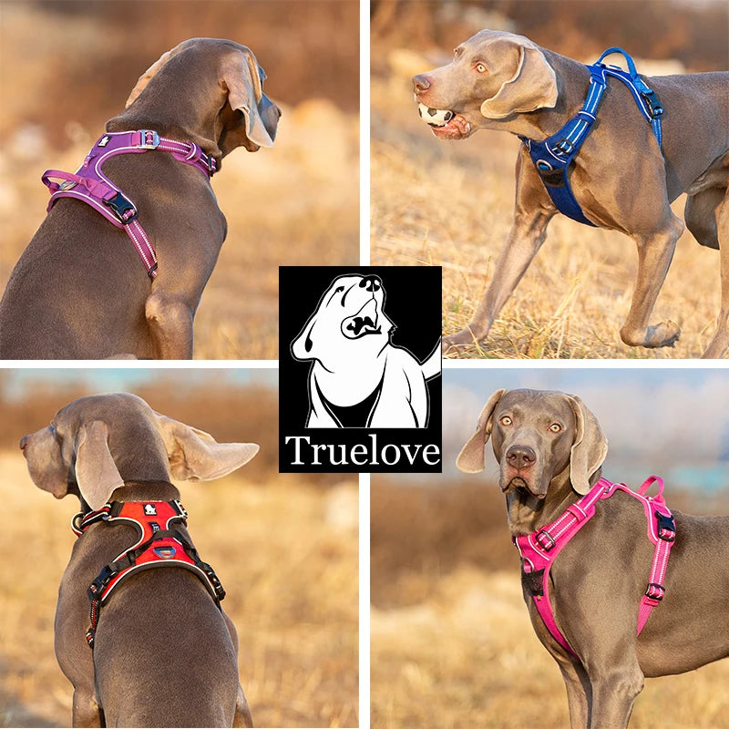 Collage of dogs wearing harnesses in various colors with 'Truelove' brand logo.