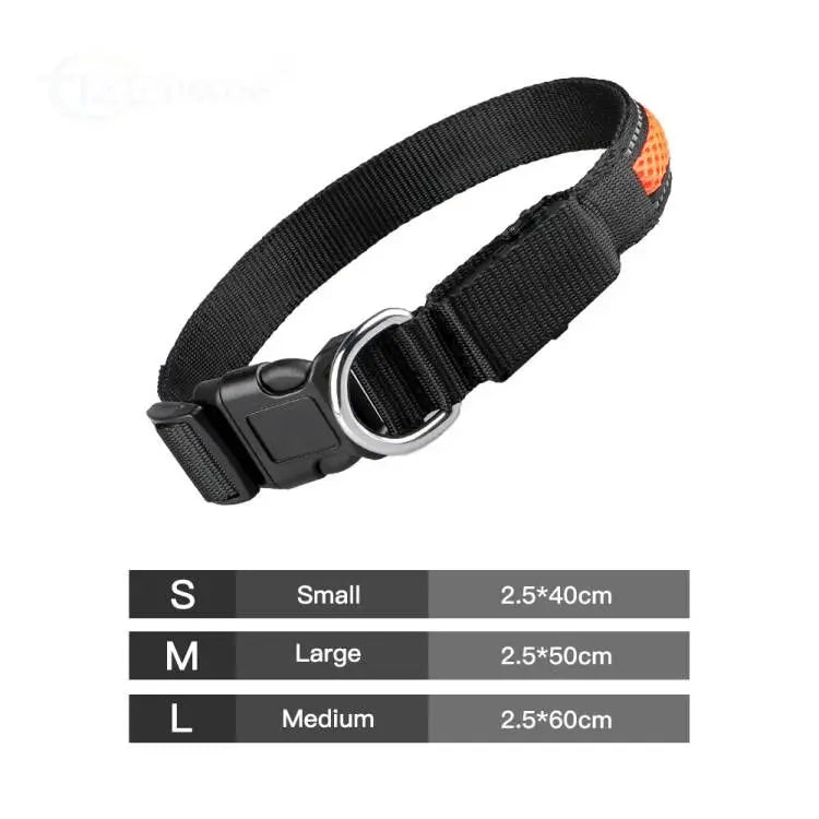 Stylish LED Dog Collar Luminous