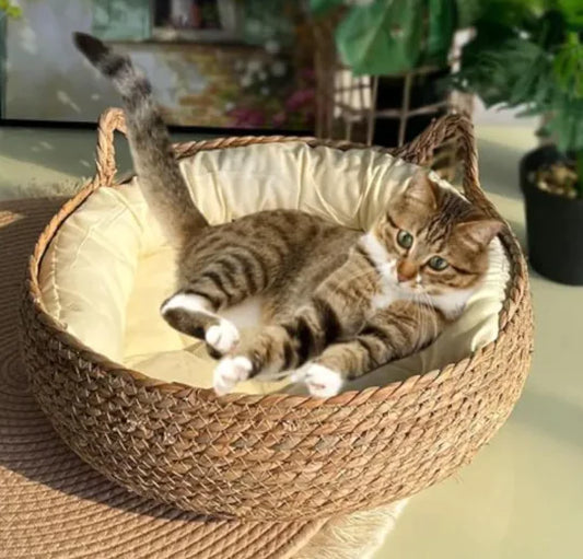 Handmade Pet House - Shopinapets  Handmade Pet House Shopinapets #