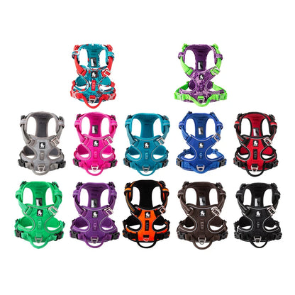 Collection of colorful dog harnesses arranged in a grid on a white background