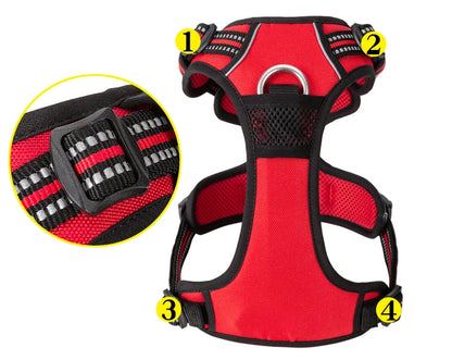 Red dog harness with black straps on a white background