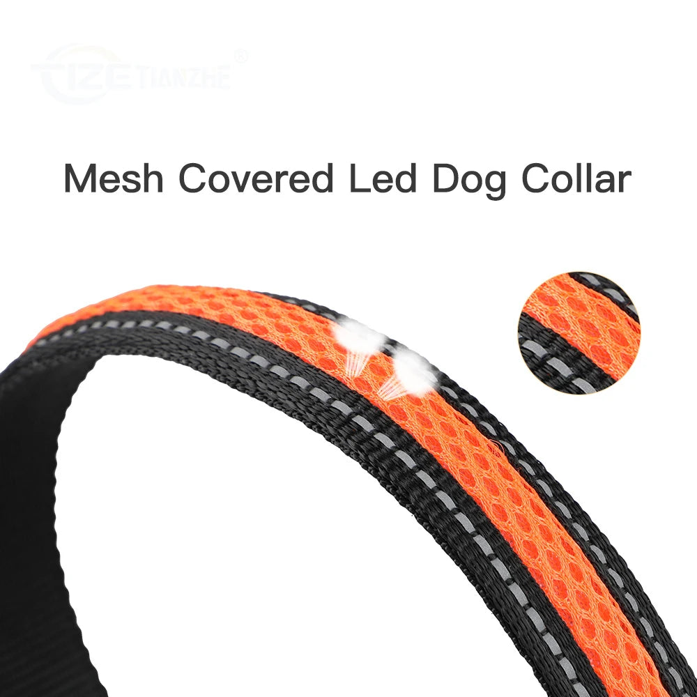 Stylish LED Dog Collar Luminous