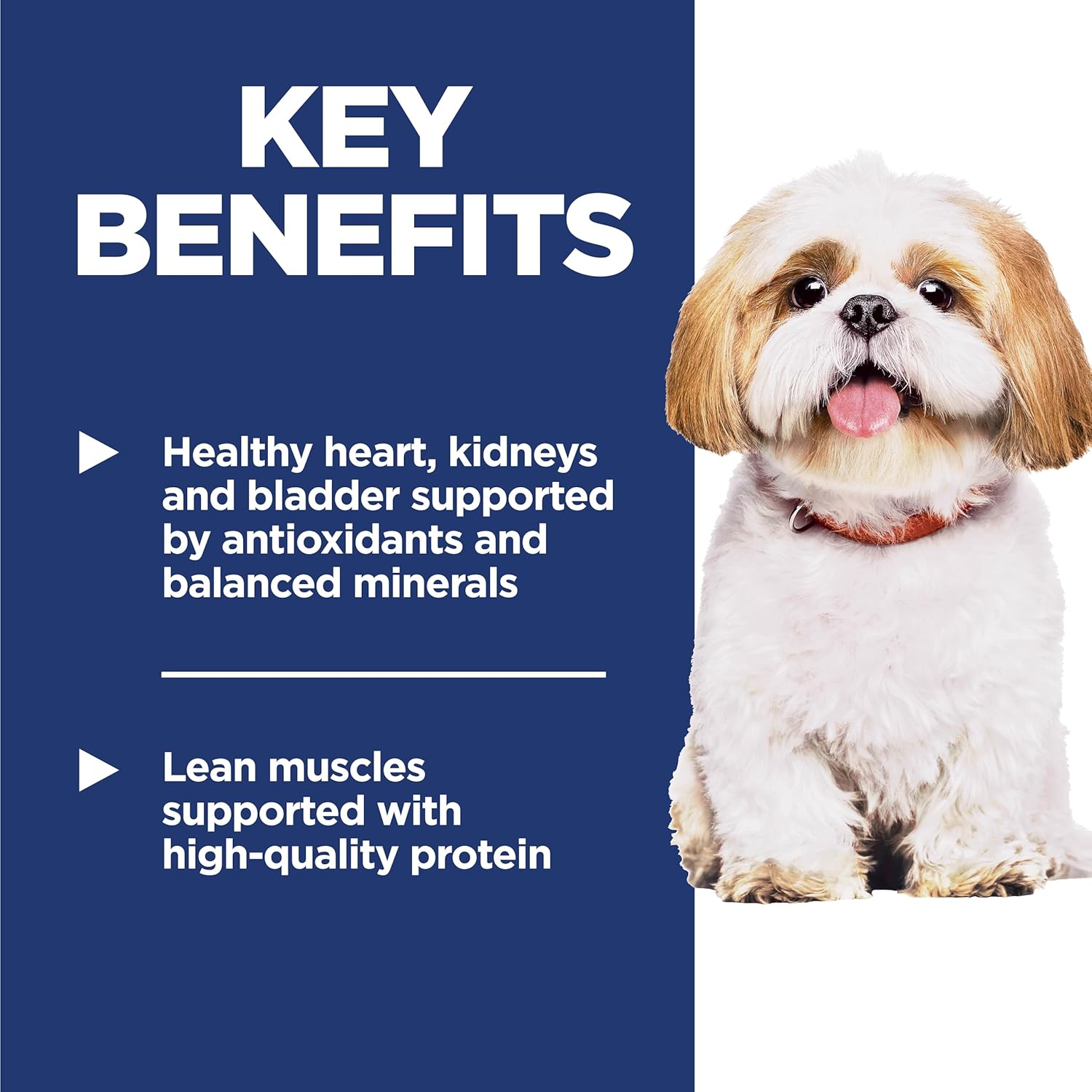 White fluffy dog beside text highlighting key benefits: healthy organs supported by antioxidants and lean muscles from high-quality protein.