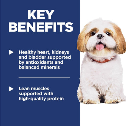 White fluffy dog beside text highlighting key benefits: healthy organs supported by antioxidants and lean muscles from high-quality protein.