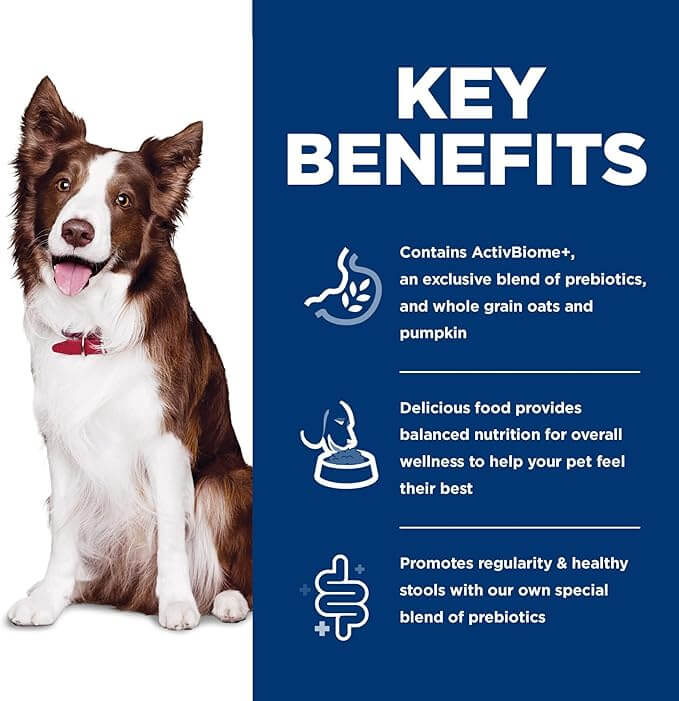 Hills Science Diet Perfect Digestion Adult 1-6 Digestive Support Small Kibble Dry Dog Food Chicken Brown Rice & Whole Oats 12 lb Bag - Shopinapets  Hills Science Diet Perfect Digestion Adult 1-6 Digestive Support Small Kibble Dry Dog Food Chicken Brown Rice & Whole Oats 12 lb Bag Shopinapets #