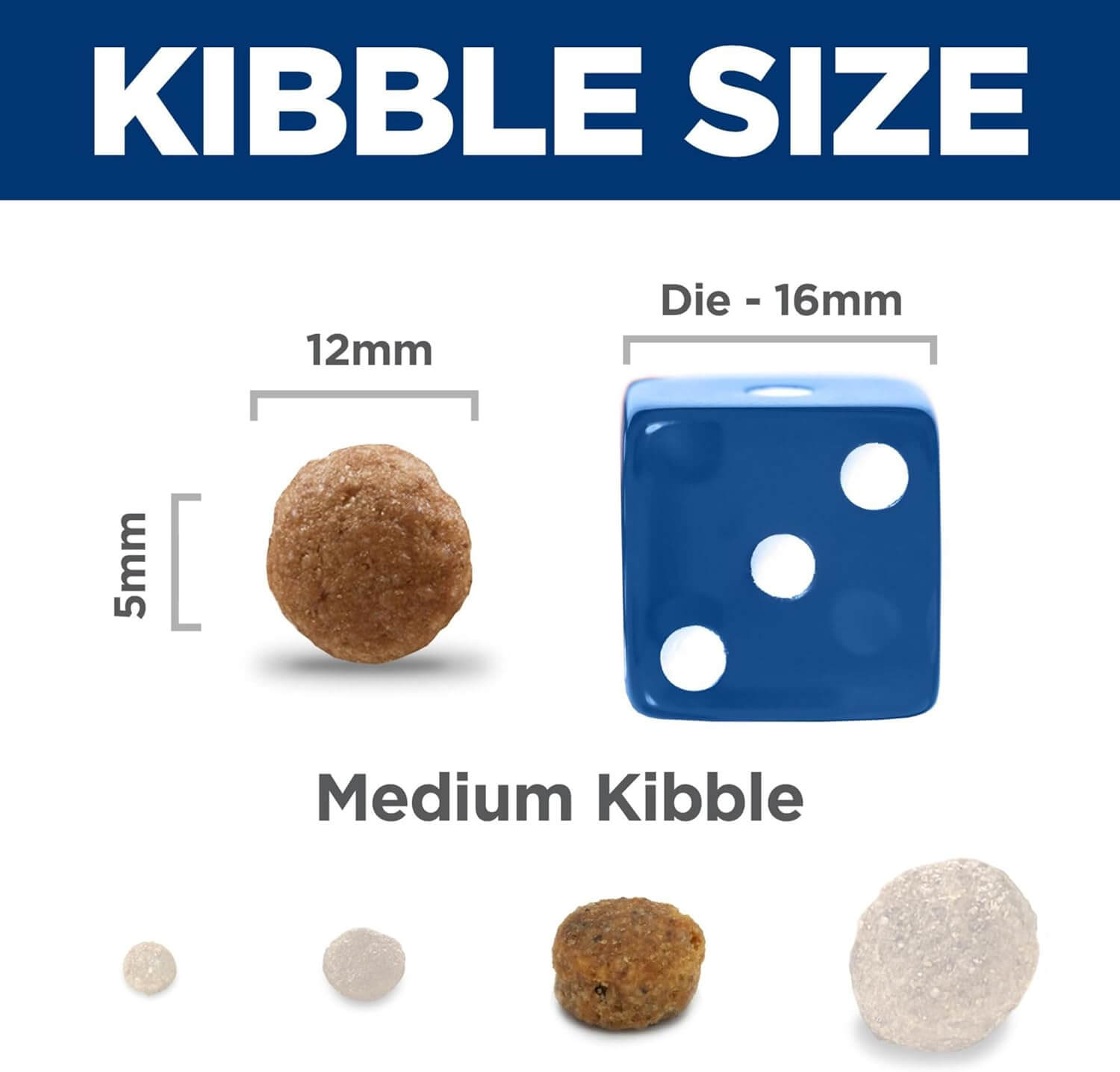 Image comparing medium kibble size, with a 12mm kibble next to a die for scale, labeled with size measurements.