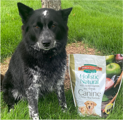 Holistic Chicken & Brown Rice Adult Dog Food 6.6lb - Shopinapets  Holistic Chicken & Brown Rice Adult Dog Food 6.6lb Shopinapets #