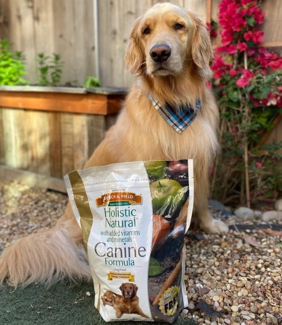 Holistic Chicken & Brown Rice Adult Dog Food 6.6lb - Shopinapets  Holistic Chicken & Brown Rice Adult Dog Food 6.6lb Shopinapets #