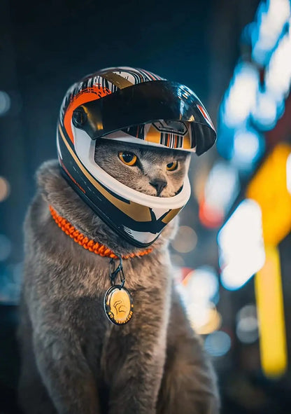 Full Face Pet Motorcycle Helmet