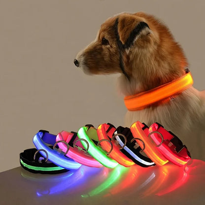Luminous Dog Leash  - Night Safety Flashing Glow - Shopinapets This nylon leash ensures your dog's safety without any highly concerned chemicals. The basic collar design is suitable for all dogs, making it a reliable and practical choice. Luminous Dog Leash  - Night Safety Flashing Glow Shopinapets #