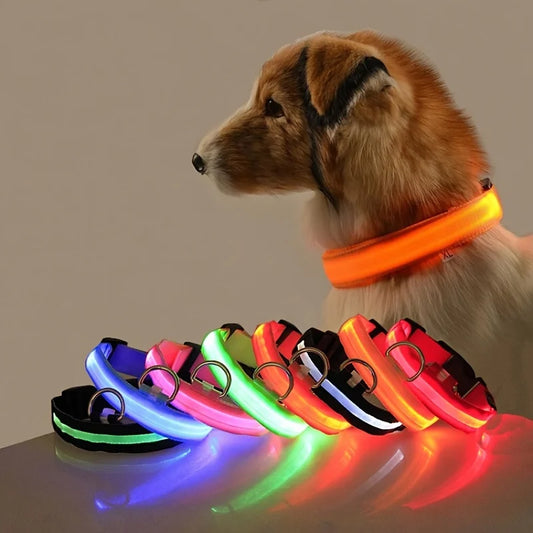 Luminous Dog Leash  - Night Safety Flashing Glow - Shopinapets This nylon leash ensures your dog's safety without any highly concerned chemicals. The basic collar design is suitable for all dogs, making it a reliable and practical choice. Luminous Dog Leash  - Night Safety Flashing Glow Shopinapets #