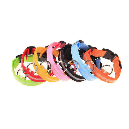 Luminous Dog Leash  - Night Safety Flashing Glow - Shopinapets This nylon leash ensures your dog's safety without any highly concerned chemicals. The basic collar design is suitable for all dogs, making it a reliable and practical choice. Luminous Dog Leash  - Night Safety Flashing Glow Shopinapets #