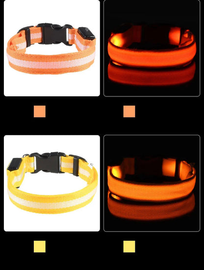 Luminous Dog Leash  - Night Safety Flashing Glow - Shopinapets This nylon leash ensures your dog's safety without any highly concerned chemicals. The basic collar design is suitable for all dogs, making it a reliable and practical choice. Luminous Dog Leash  - Night Safety Flashing Glow Shopinapets #