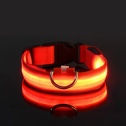 Luminous Dog Leash  - Night Safety Flashing Glow - Shopinapets This nylon leash ensures your dog's safety without any highly concerned chemicals. The basic collar design is suitable for all dogs, making it a reliable and practical choice. Luminous Dog Leash  - Night Safety Flashing Glow Shopinapets #