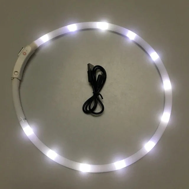 Luminous, stylish and safety Pet Collar - Shopinapets  Luminous, stylish and safety Pet Collar Shopinapets #