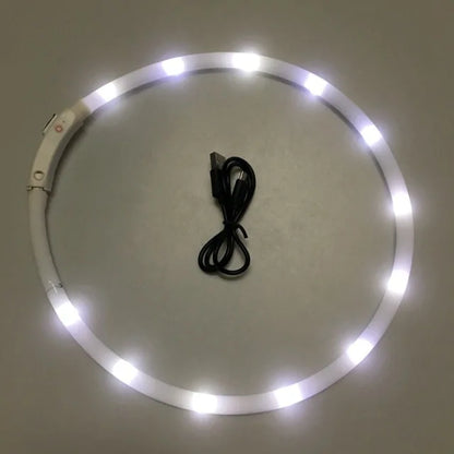 Luminous, stylish and safety Pet Collar - Shopinapets  Luminous, stylish and safety Pet Collar Shopinapets #