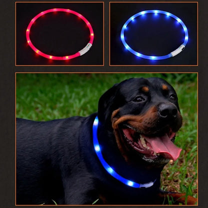 Luminous, stylish and safety Pet Collar - Shopinapets  Luminous, stylish and safety Pet Collar Shopinapets #