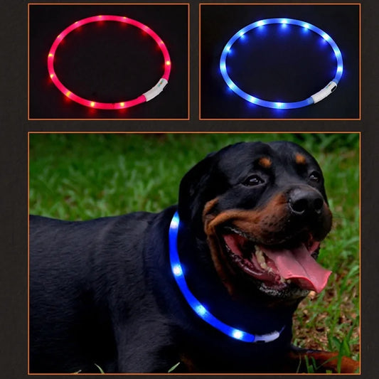 Luminous, stylish and safety Pet Collar - Shopinapets  Luminous, stylish and safety Pet Collar Shopinapets #