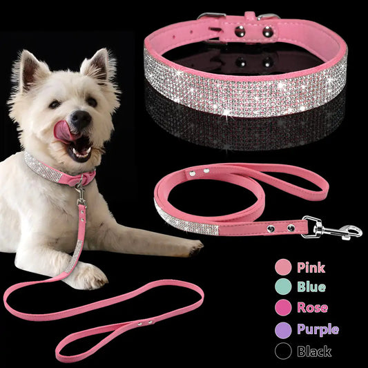 Stylish Pet Collar