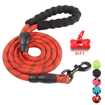 Dog Leash Walking Training Leash