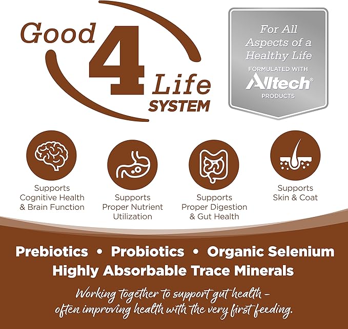 Infographic showcasing the "Good 4 Life System" by Alltech, emphasizing benefits for health, digestion, and skin through prebiotics and probiotics.