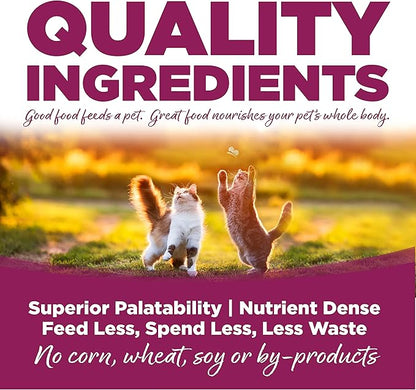 Two playful kittens chase a butterfly in a sunlit field, promoting quality pet food with bold text highlighting its benefits.