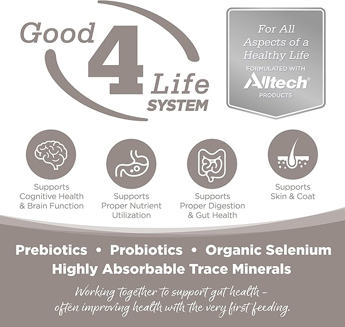 Promotional graphic for Alltech's Good 4 Life System highlighting benefits for cognitive, gut, and skin health with prebiotics and probiotics.