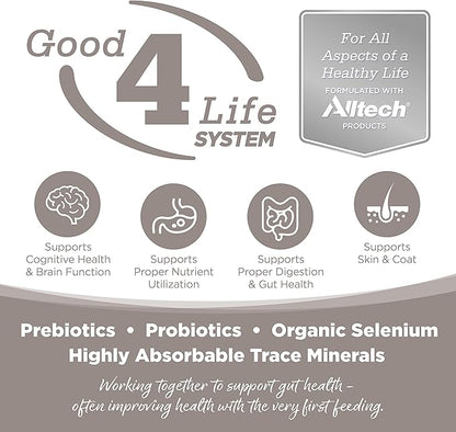 Promotional graphic for Alltech's Good 4 Life System highlighting benefits for cognitive, gut, and skin health with prebiotics and probiotics.