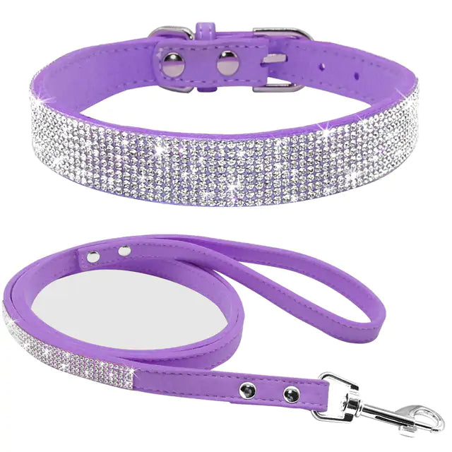 Stylish Pet Collar