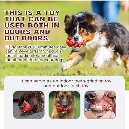 Pet Food Dropping Ball Dog Molar Lobster Toy - Shopinapets  Pet Food Dropping Ball Dog Molar Lobster Toy Shopinapets #