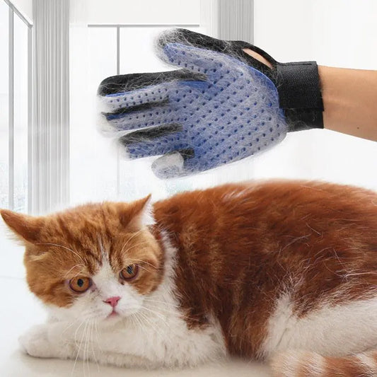 A hand wearing a pet grooming glove with fur on it next to a relaxed orange and white cat, set in a bright indoor space.