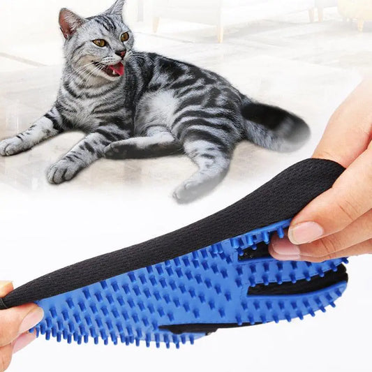 A hand holds a grooming brush with a blue textured surface, while a playful grey tabby cat lies nearby on a cozy floor.