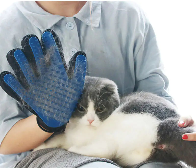 A person wearing a blue pet grooming glove gently brushes a gray and white cat sitting in their lap, surrounded by pet hair.