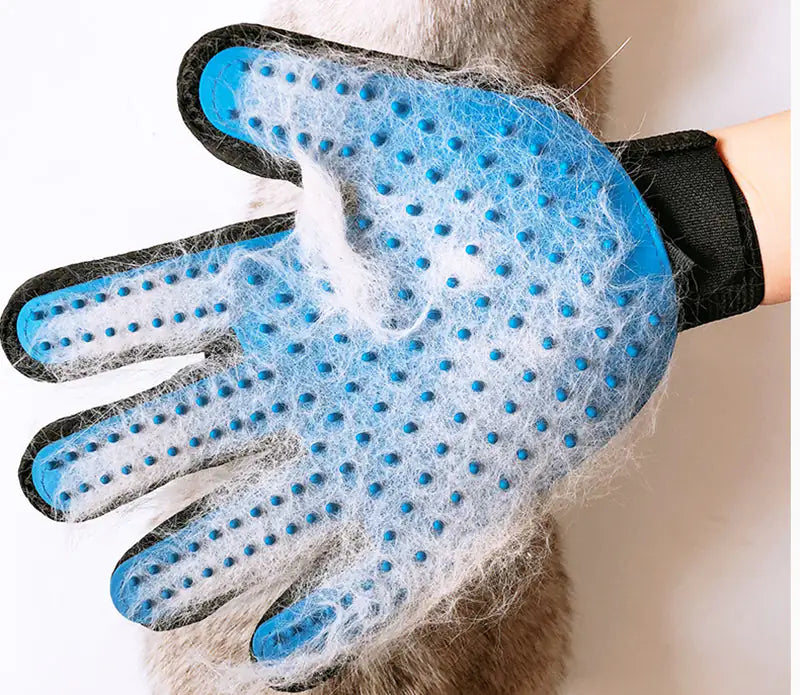 A blue pet grooming glove covered in white fur, resting on a fluffy animal's back, ready for effective de-shedding.