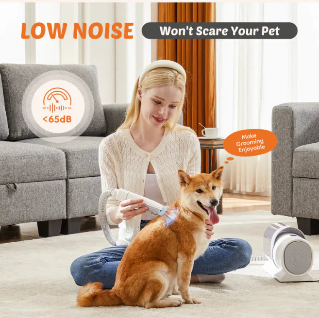 A woman gently grooms a happy Shiba Inu on a cozy living room floor, surrounded by comfortable furniture and soft lighting.